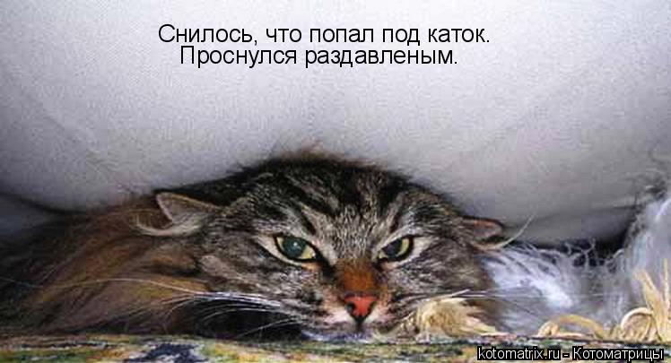 Снилось, что попал под каток. Проснулся раздавленым.... Котоматрица: Снилось, что попал под каток. Проснулся раздавленым.