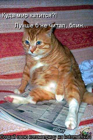 Куда мир катится?! Лучше б не читал, блин...... Котоматрица: Куда мир катится?! Лучше б не читал, блин...