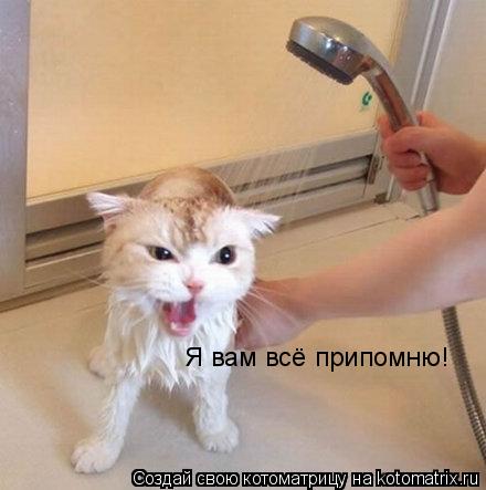 Я вам всё припомню!... Котоматрица: Я вам всё припомню!