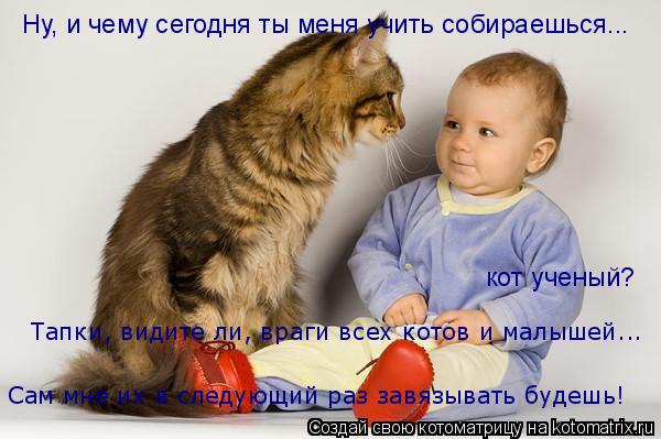 Ну, и чему сегодня ты меня учить собираешься... кот ученый? Тапки, видите ли, враги всех котов и малы... Котоматрица: Ну, и чему сегодня ты меня учить собираешься... кот ученый? Тапки, видите ли, враги всех котов и малышей... Сам мне их в следующий раз завязыват
