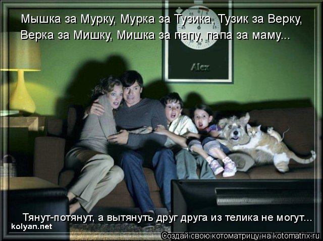 Мышка за Мурку, Мурка за Тузика, Тузик за Верку, Верка за Мишку, Мишка за папу, папа за маму... Тянут... Котоматрица: Мышка за Мурку, Мурка за Тузика, Тузик за Верку, Верка за Мишку, Мишка за папу, папа за маму... Тянут-потянут, а вытянуть друг друга из телика не