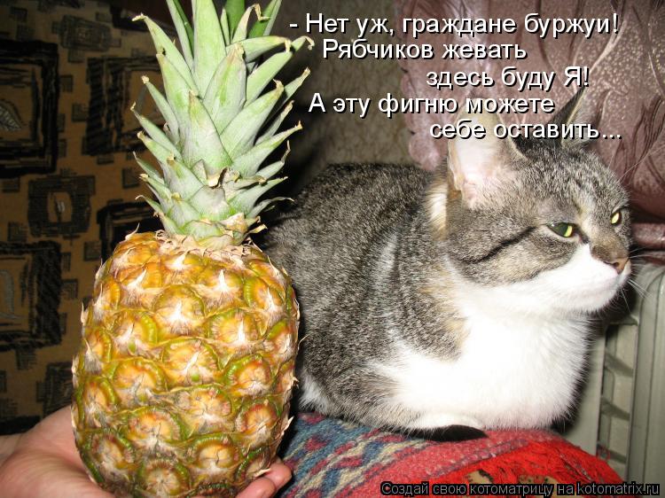 - Нет уж, граждане буржуи! Рябчиков жевать здесь буду Я! А эту фигню можете себе оставить...... Котоматрица: - Нет уж, граждане буржуи! Рябчиков жевать здесь буду Я! А эту фигню можете себе оставить...