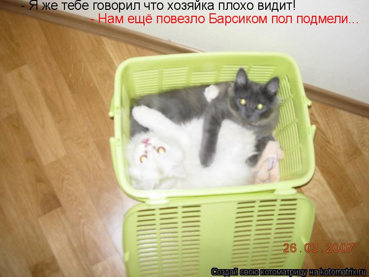 - Я же тебе говорил что хозяйка плохо видит! - Нам ещё повезло Барсиком пол подмели...... Котоматрица: - Я же тебе говорил что хозяйка плохо видит! - Нам ещё повезло Барсиком пол подмели...