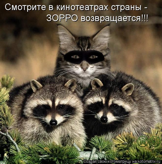 Котоматрица: ЗОРРО возвращается!!! Смотрите в кинотеатрах страны -