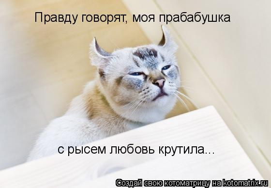 Котоматрица: Правду говорят, моя прабабушка с рысем любовь крутила...