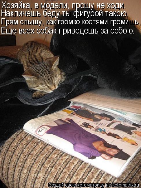 Хозяйка, в модели, прошу не ходи. Накличешь беду ты фигурой такою, Прям слышу, как громко костями гре... Котоматрица: Хозяйка, в модели, прошу не ходи. Накличешь беду ты фигурой такою, Прям слышу, как громко костями гремишь, Еще всех собак приведешь за собою.
