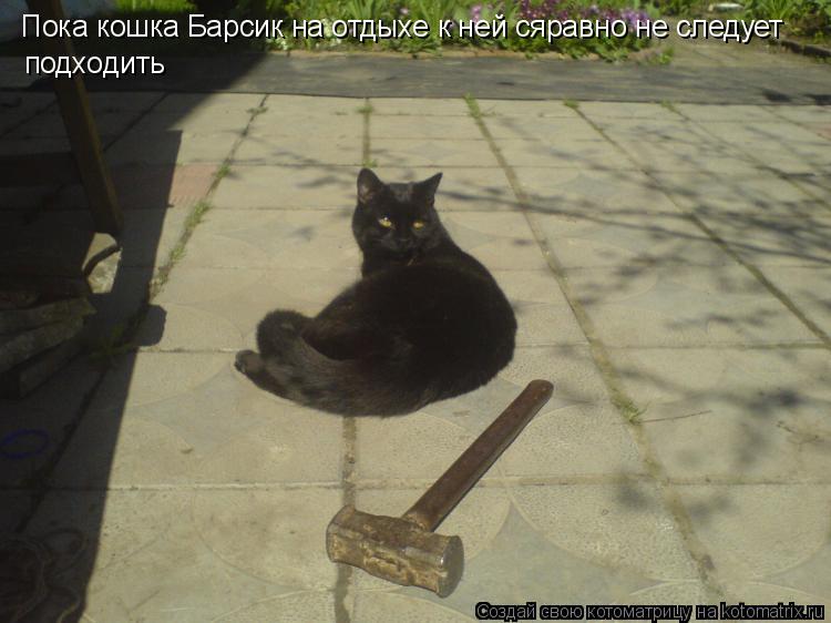 Пока кошка Барсик на отдыхе к ней сяравно не следует подходить По... Котоматрица: Пока кошка Барсик на отдыхе к ней сяравно не следует подходить Пока кошка Барсик на отдыхе к ней сяравно не следуе