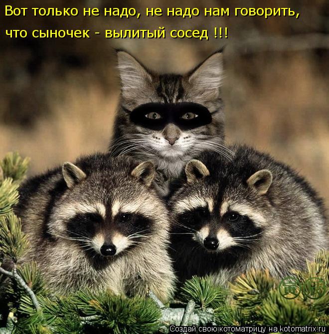 что сыночек - вылитый сосед !!! Вот только не надо, не надо нам говорить,... Котоматрица: что сыночек - вылитый сосед !!! Вот только не надо, не надо нам говорить,