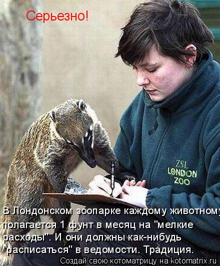 В Лондонском зоопарке каждому животному полагается 1 фунт в месяц на "мелкие расходы". И они должны к... Котоматрица: В Лондонском зоопарке каждому животному полагается 1 фунт в месяц на "мелкие расходы". И они должны как-нибудь "расписаться" в ведомости. Тра