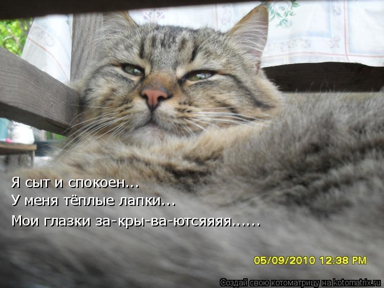 Котоматрица: Я сыт и спокоен... У меня тёплые лапки... Мои глазки за-кры-ва-ютсяяяя......