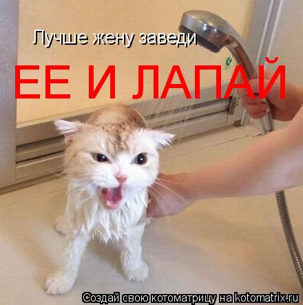 Котоматрица: Лучше жену заведи ЕЕ И ЛАПАЙ