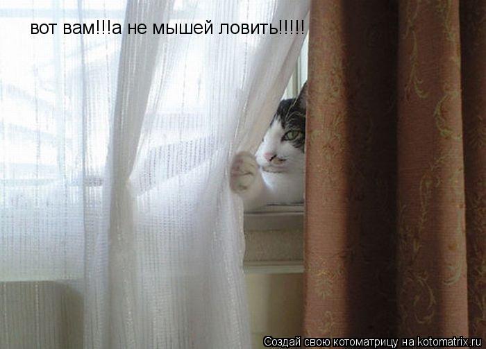 Котоматрица: вот вам!!!а не мышей ловить!!!!!