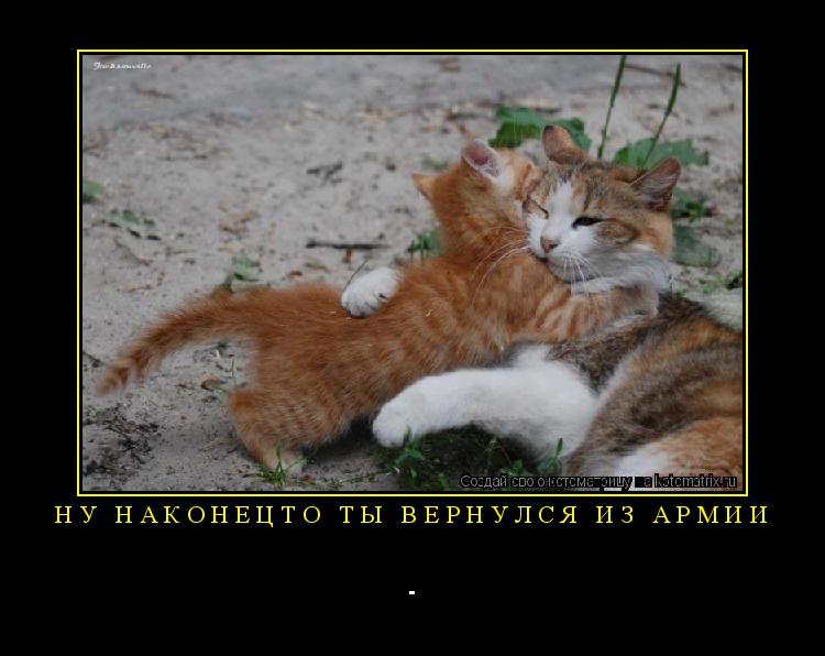 ну НАКОНЕЦТО ты вернулся из АРМИИ -... Котоматрица: ну НАКОНЕЦТО ты вернулся из АРМИИ -