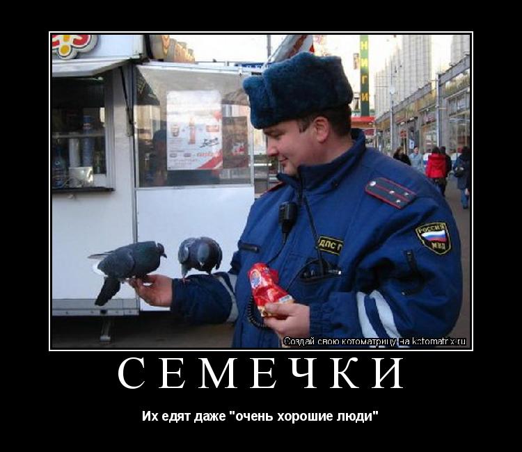 Котоматрица: Семечки Их едят даже "очень хорошие люди"