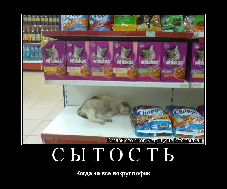 Котоматрица: Сытость Когда на все вокруг пофик