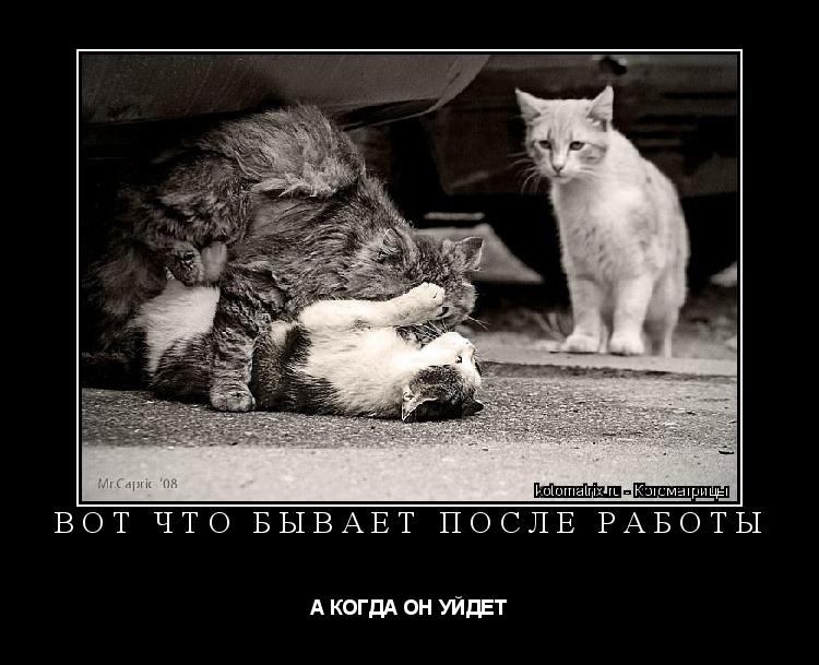 ВОТ ЧТО БЫВАЕТ ПОСЛЕ РАБОТЫ А КОГДА ОН УЙДЕТ... Котоматрица: ВОТ ЧТО БЫВАЕТ ПОСЛЕ РАБОТЫ А КОГДА ОН УЙДЕТ