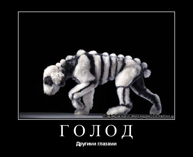 Голод Другими глазами... Котоматрица: Голод Другими глазами