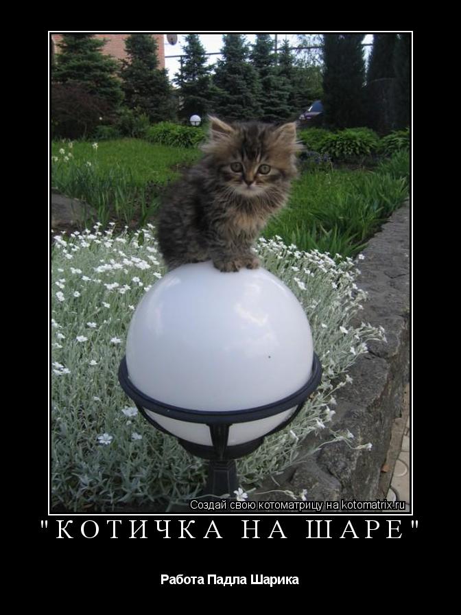 "Котичка на шаре" Работа Падла Шарика... Котоматрица: "Котичка на шаре" Работа Падла Шарика