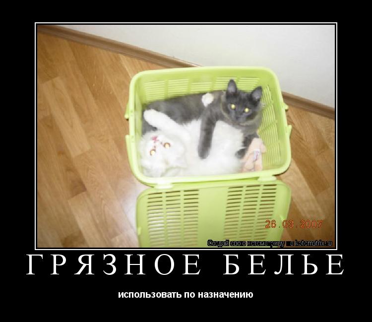 грязное бельё использовать по назначению... Котоматрица: грязное бельё использовать по назначению