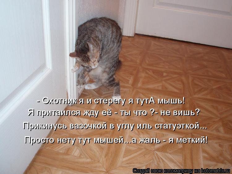 - Охотник я и стерегу я тутА мышь! Я притаился жду её - ты что ?- не вишь? Прикинусь вазочкой в углу ... Котоматрица: - Охотник я и стерегу я тутА мышь! Я притаился жду её - ты что ?- не вишь? Прикинусь вазочкой в углу иль статуэткой... Просто нету тут мышей...а жа