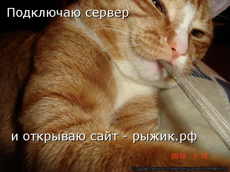 Подключаю сервер и открываю сайт - рыжик.рф... Котоматрица: Подключаю сервер и открываю сайт - рыжик.рф