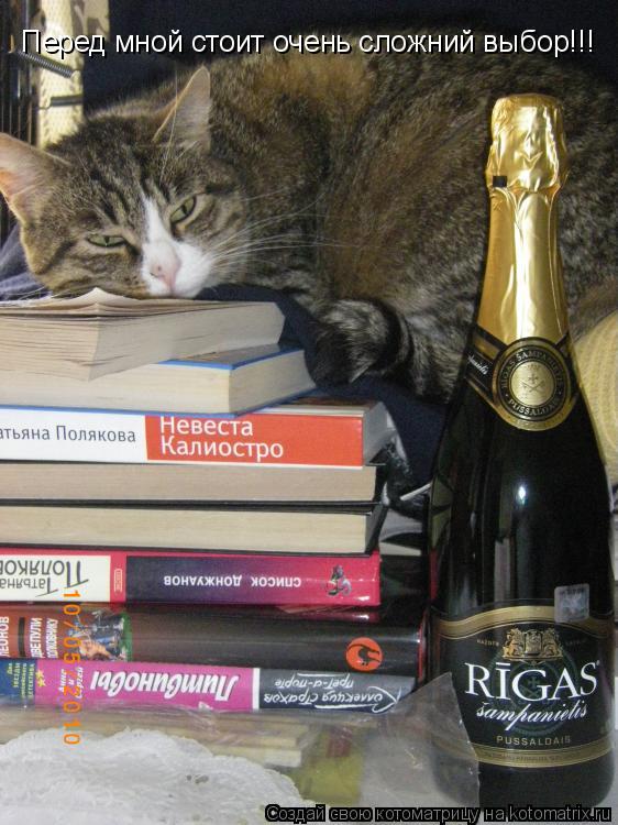 Перед мной стоит очень сложний выбор!!!... Котоматрица: Перед мной стоит очень сложний выбор!!!