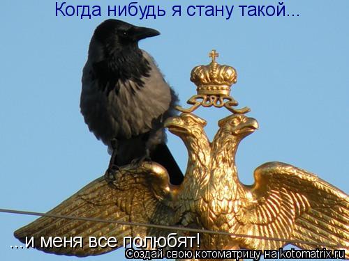 Когда нибудь я стану такой... ...и меня все полюбят!... Котоматрица: Когда нибудь я стану такой... ...и меня все полюбят!