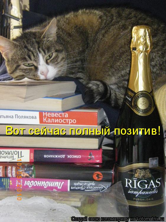 Вот сейчас полный позитив!... Котоматрица: Вот сейчас полный позитив!