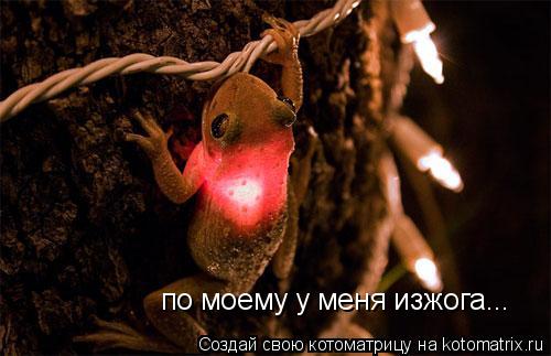 Котоматрица: по моему у меня изжога...