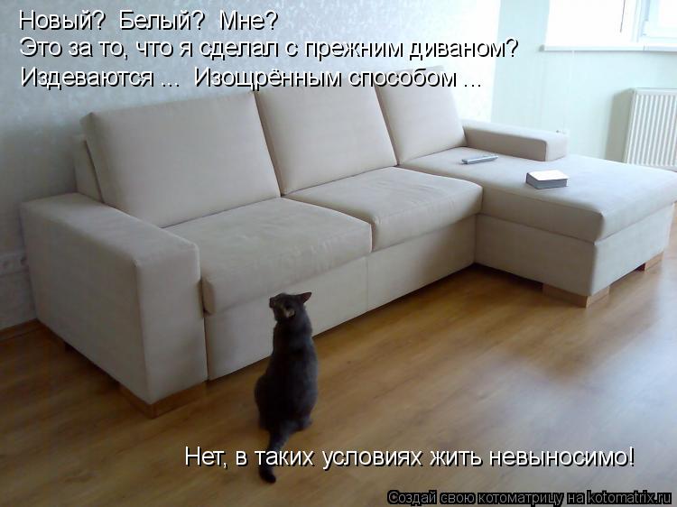 Нет, в таких условиях жить невыносимо! Новый? Белый? Мне? Издеваются ... Изощрённым способом ... Эт... Котоматрица: Нет, в таких условиях жить невыносимо! Новый? Белый? Мне? Издеваются ... Изощрённым способом ... Это за то, что я сделал с прежним диваном?