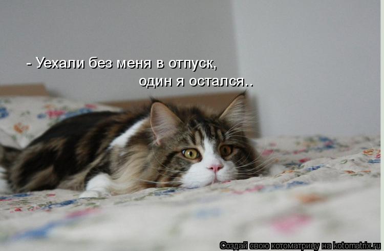 - Уехали без меня в отпуск, один я остался..... Котоматрица: - Уехали без меня в отпуск, один я остался..