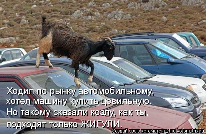 Ходил по рынку автомобильному, хотел машину купить цевильную. Но такому сказали козлу, как ты, подход... Котоматрица: Ходил по рынку автомобильному, хотел машину купить цевильную. Но такому сказали козлу, как ты, подходят только ЖИГУЛИ.