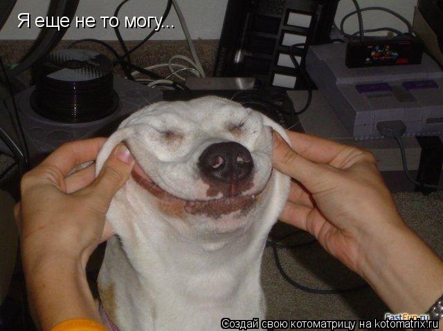 Я еще не то могу...... Котоматрица: Я еще не то могу...
