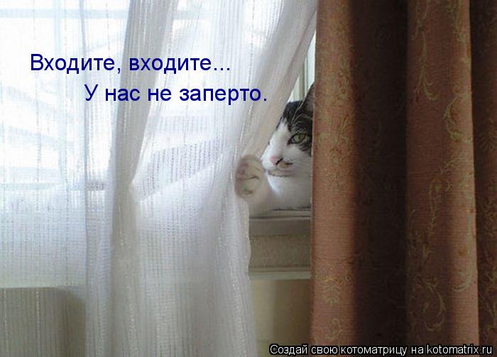 Входите, входите... У нас не заперто.... Котоматрица: Входите, входите... У нас не заперто.