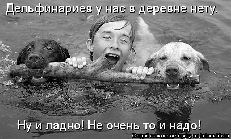 Котоматрица: Дельфинариев у нас в деревне нету.  Ну и ладно! Не очень то и надо!