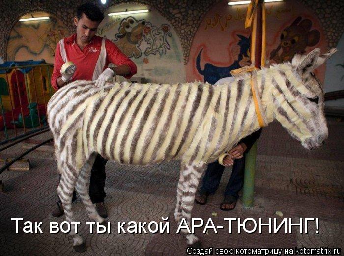 Так вот ты какой АРА-ТЮНИНГ!... Котоматрица: Так вот ты какой АРА-ТЮНИНГ!