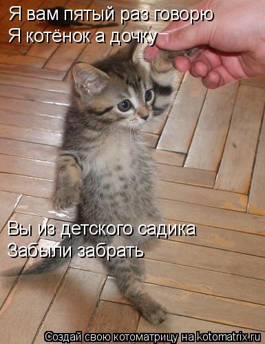 Я вам пятый раз говорю Я котёнок а дочку Вы из детского садика Забыли забрать... Котоматрица: Я вам пятый раз говорю Я котёнок а дочку Вы из детского садика Забыли забрать