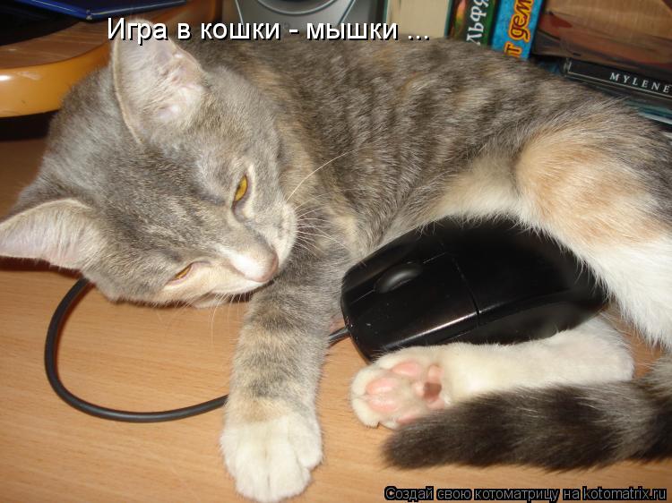 Котоматрица: Игра в кошки - мышки ...
