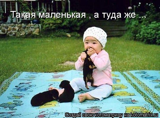 Такая маленькая , а туда же ...... Котоматрица: Такая маленькая , а туда же ...