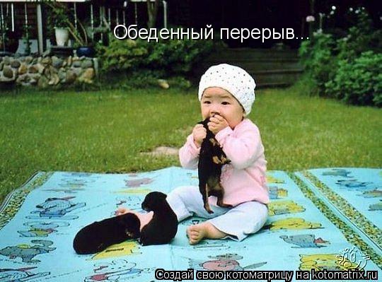 Котоматрица: Обеденный перерыв...