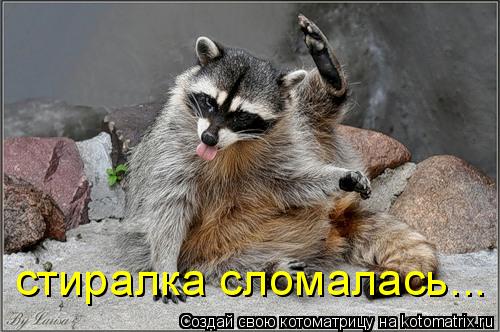 Котоматрица: стиралка сломалась...