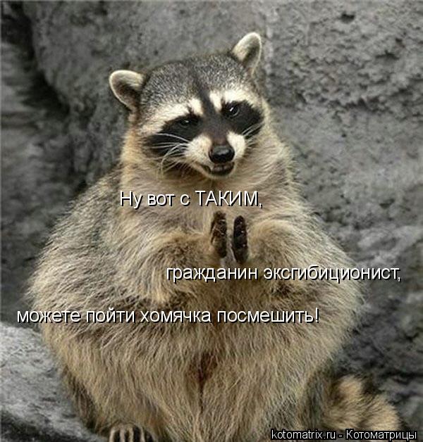 Котоматрица: Ну вот с ТАКИМ, гражданин эксгибиционист, можете пойти хомячка посмешить!