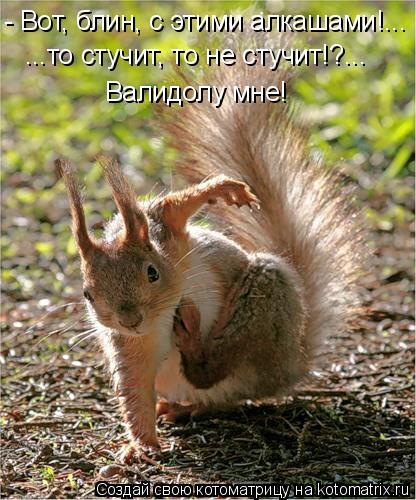 - Вот, блин, с этими алкашами!... ...то стучит, то не стучит!?... Валидолу мне!... Котоматрица: - Вот, блин, с этими алкашами!... ...то стучит, то не стучит!?... Валидолу мне!