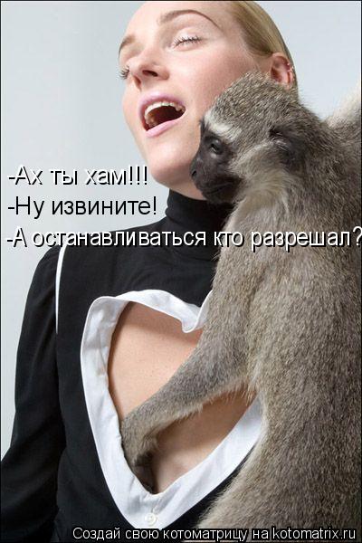 -Ах ты хам!!! -Ну извините! -А останавливаться кто разрешал?!... Котоматрица: -Ах ты хам!!! -Ну извините! -А останавливаться кто разрешал?!