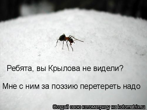 Ребята, вы Крылова не видели? Мне с ним за поэзию перетереть надо... Котоматрица: Ребята, вы Крылова не видели? Мне с ним за поэзию перетереть надо