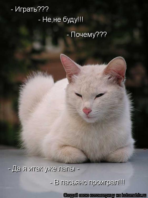 - Играть??? - Не,не буду!!! - Почему??? - Да я итак уже лапы - - В пасьянс проиграл!!!... Котоматрица: - Играть??? - Не,не буду!!! - Почему??? - Да я итак уже лапы - - В пасьянс проиграл!!!