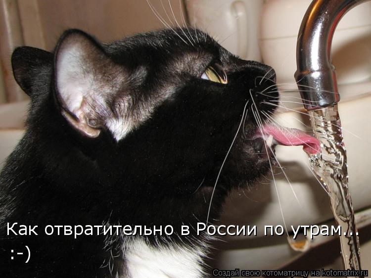 Как отвратительно в России по утрам... :-)... Котоматрица: Как отвратительно в России по утрам... :-)