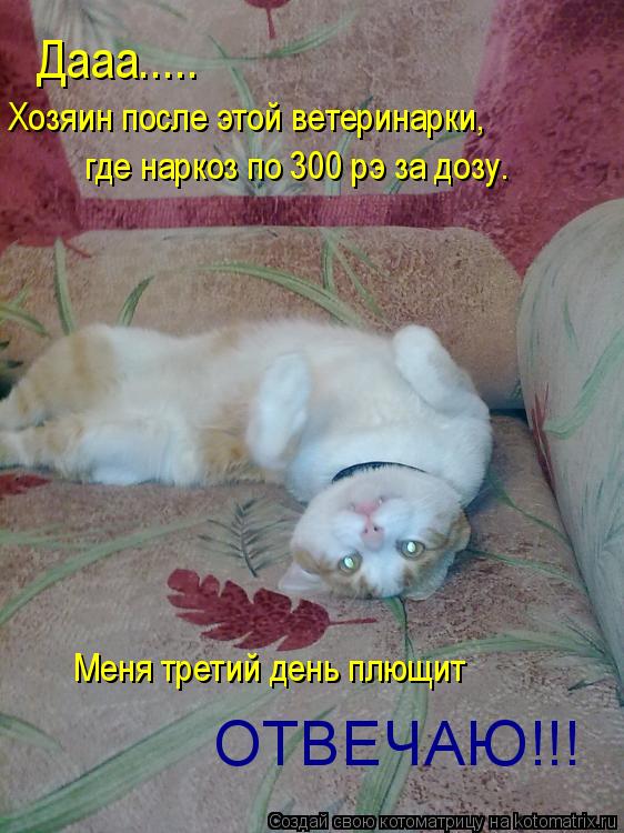 Дааа..... Хозяин после этой ветеринарки, где наркоз по 300 рэ за дозу. Меня третий день плющит ОТВЕЧА... Котоматрица: Дааа..... Хозяин после этой ветеринарки, где наркоз по 300 рэ за дозу. Меня третий день плющит ОТВЕЧАЮ!!!