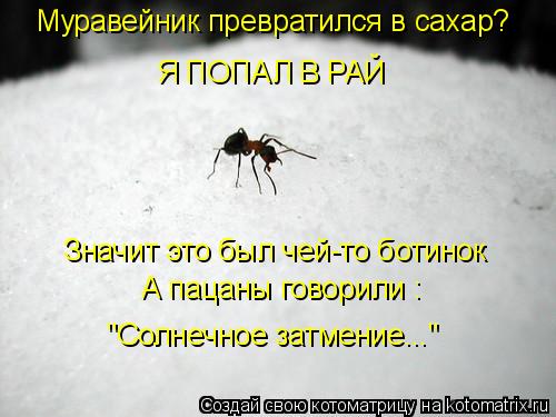 Муравейник превратился в сахар? Я ПОПАЛ В РАЙ Значит это был чей-то ботинок А пацаны говорили : "Солн... Котоматрица: Муравейник превратился в сахар? Я ПОПАЛ В РАЙ Значит это был чей-то ботинок А пацаны говорили : "Солнечное затмение..."