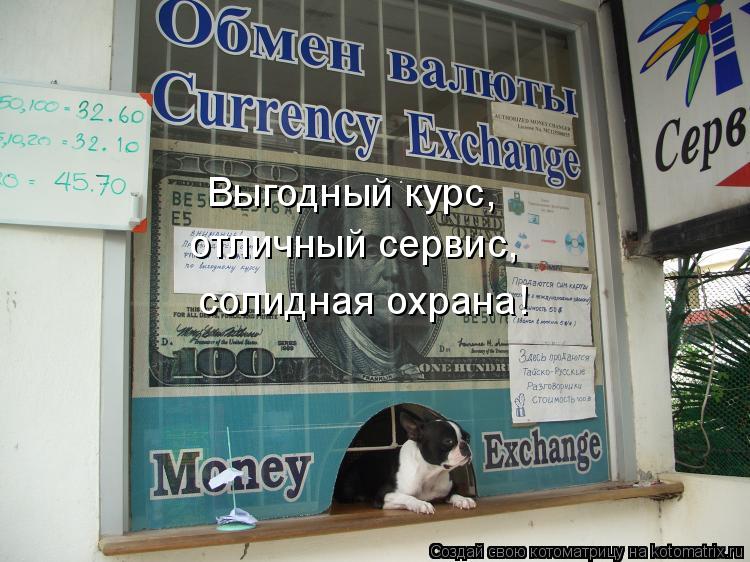 Выгодный курс, отличный сервис, солидная охрана!... Котоматрица: Выгодный курс, отличный сервис, солидная охрана!